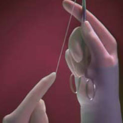Encore Acclaim Latex Surgical Gloves: size 8 1/2, Sterile, Thick, Powder-Free