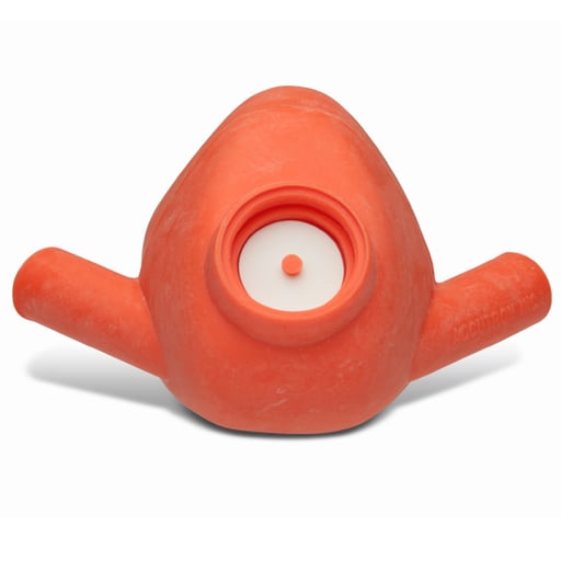Personal Inhaler Plus Disposable Nasal Hood - Small, Orange Scent 24/Pack