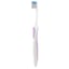 Oral-B Gum Care Compact Toothbrush, 12/Box, 21 Extra-Soft, Assorted colors