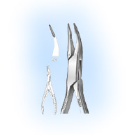 House Brand 5.5" Friedman Rongeur, straight