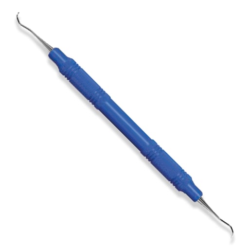 American Eagle #2YS/3YS Jacquette Scaler with 3/8" EagleLite Resin Blue Handle