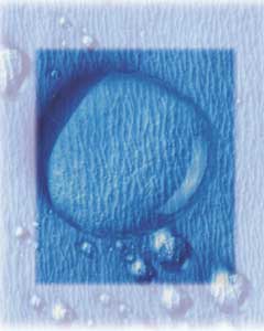 Crosstex 15" x 15" CSR Sterilization Wrap 500/Pk. Use with EtO, steam, gamma