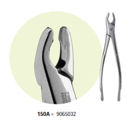 Premier #150A Maxillary Extracting Forceps, for Upper Incisors, Canines