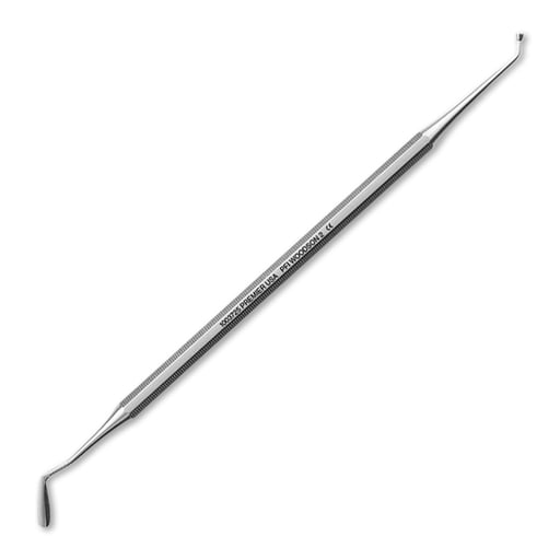Premier #2 Woodson Plastic Filling Instrument DE with Regular Handle