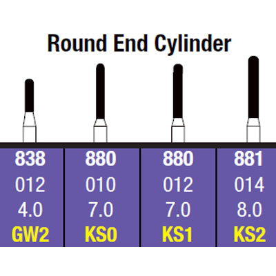 Spring FG #GW2 (838.012) Coarse grit Round End Cylinder single-use diamond